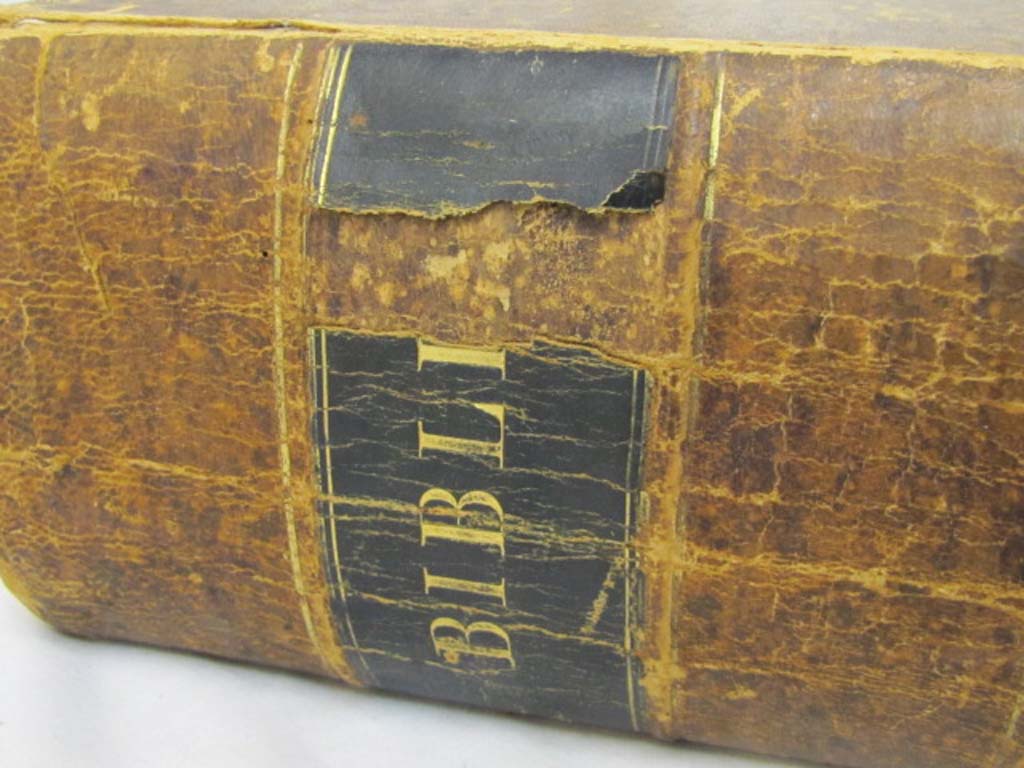 Luther, Martin: Biblia, Das IST Die Ganre  bible