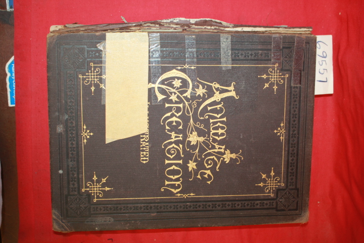 Wood, Rev. J.G.: Animate Creation; Popular Edition of  Our Living World  vol.2