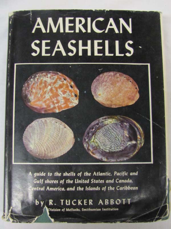Abbott, R. Tucker: American Seashells