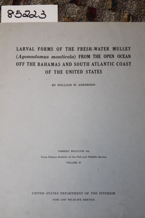 Anderson, William W.: LARVAL FORMS OF THE FRESH-WATER MULLET (AGONOSTOMUS MON...